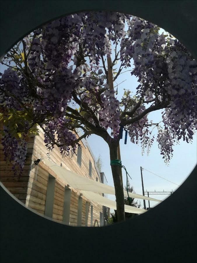 Via Dei Dori B&B Мирано Екстериор снимка